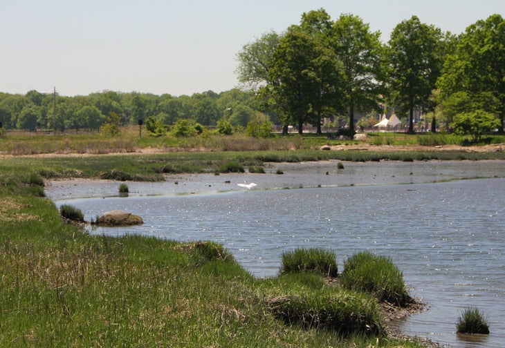 More salt marshes None
