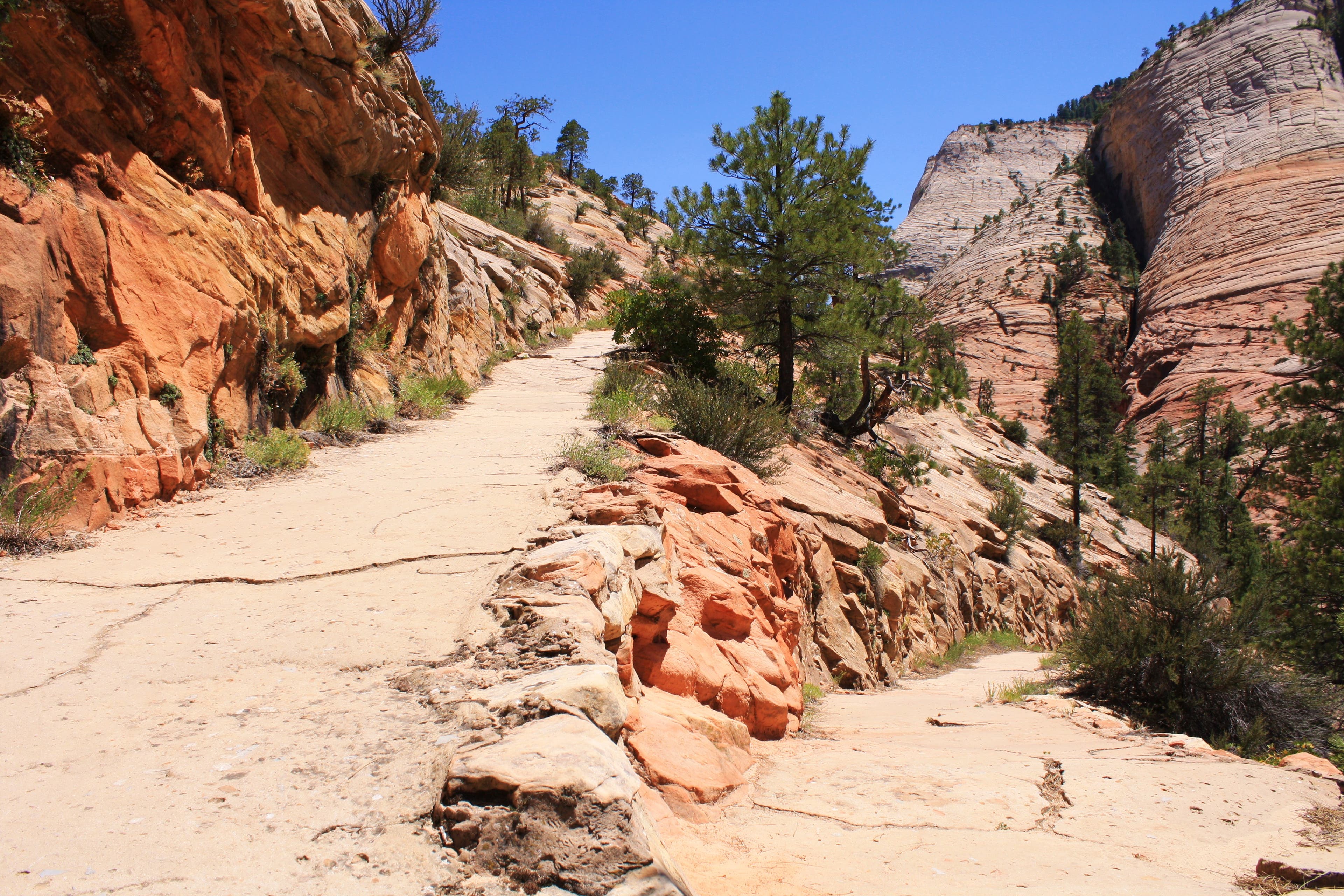 More Switchbacks None