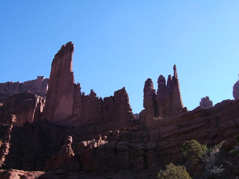 More wild shapes Looking up from the same wash, you get a great sense of the erosive power of wind and water in a redrock environment.