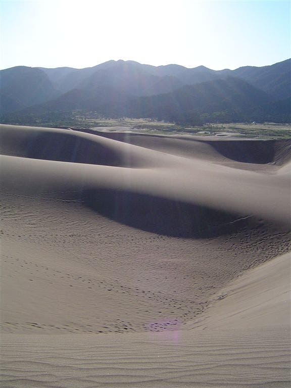 Morning on the dunefield None