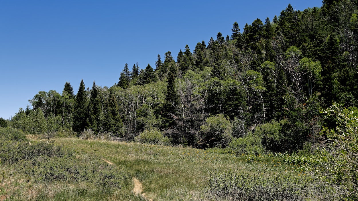High Adventure in Great Sand Dunes National Park Preserve, Mosca Pass Trail