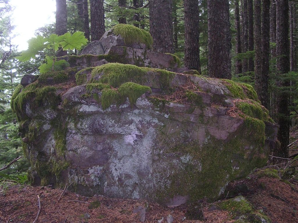 Mossy Boulder None