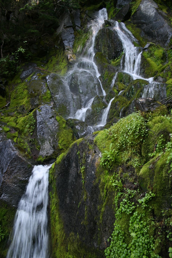 Mossy Falls None