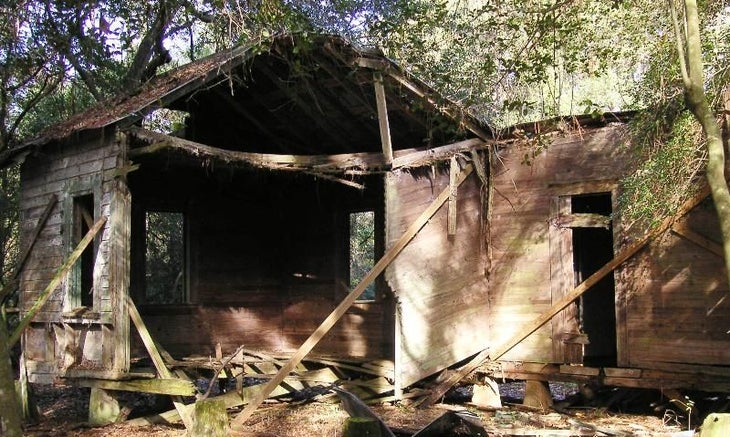Mossy House None