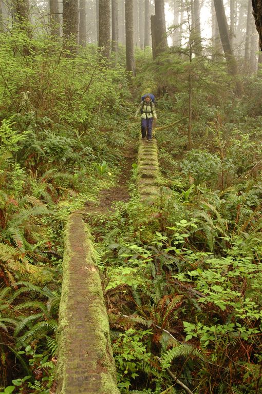 Mossy Ladders None