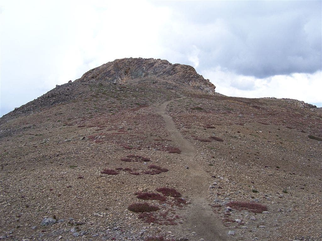 Mount Belford's summit None