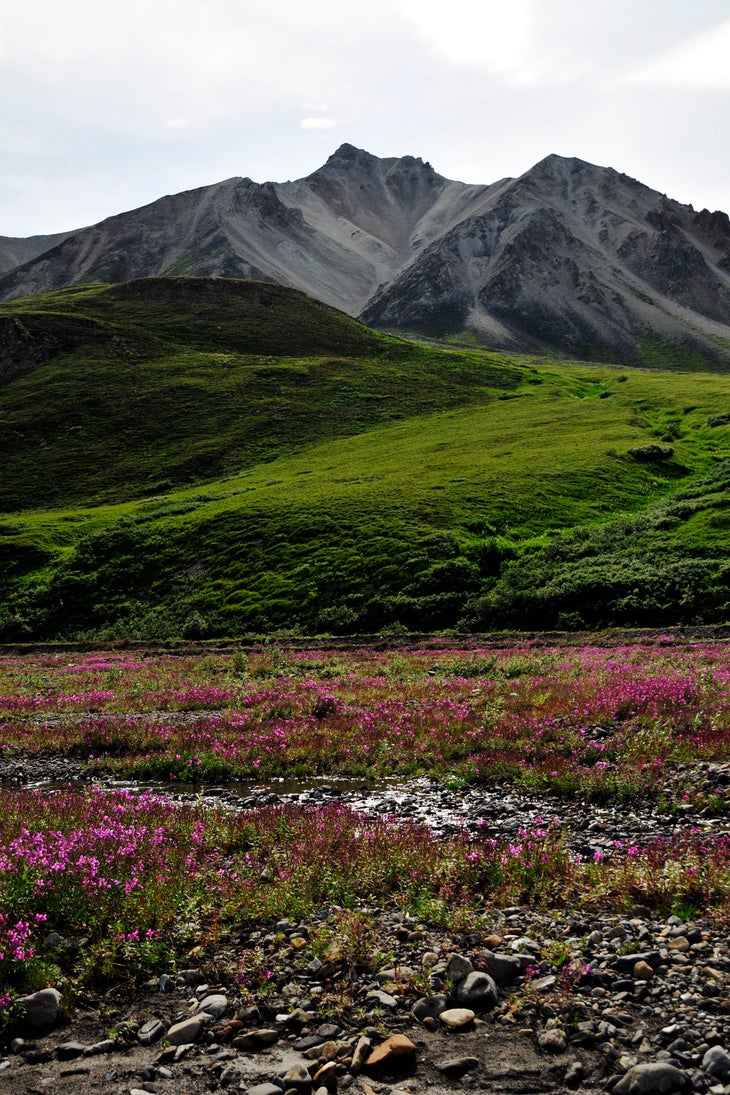 Mount Eielson None