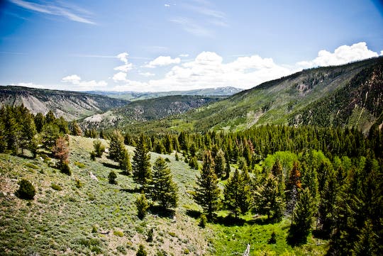 Mount Evert and Blacktail Plateau None
