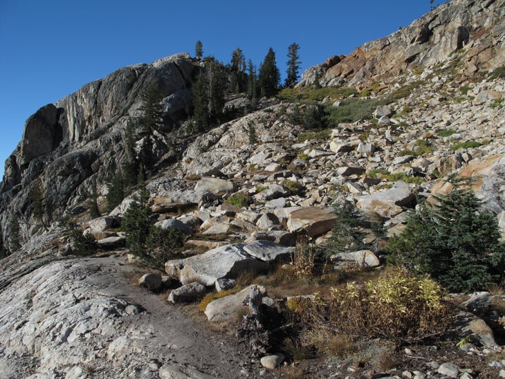 Mount Hoffmann None