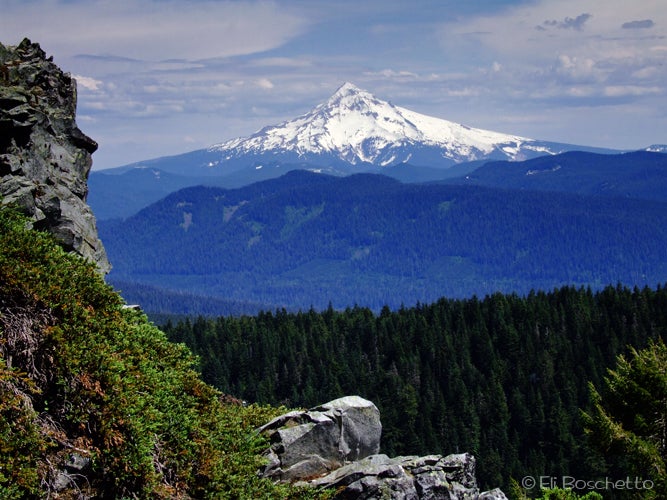 Mount Hood None