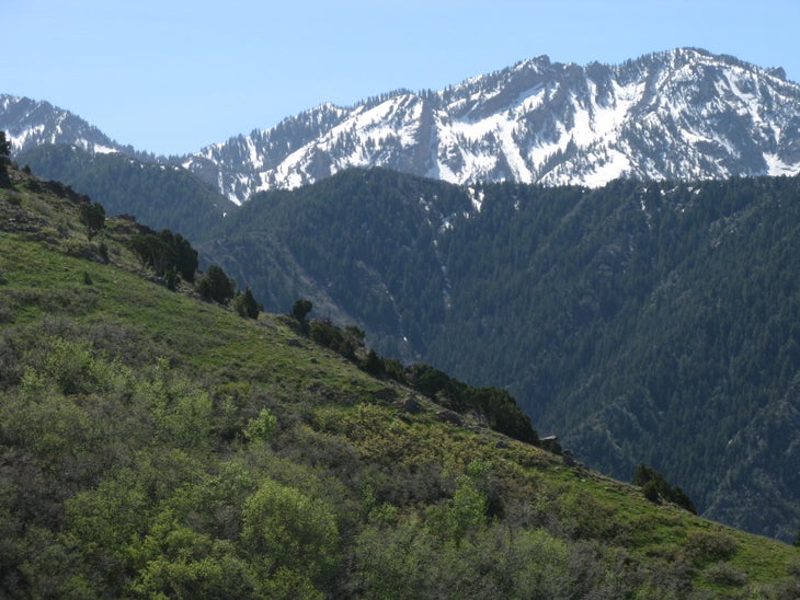 Mount Olympus None