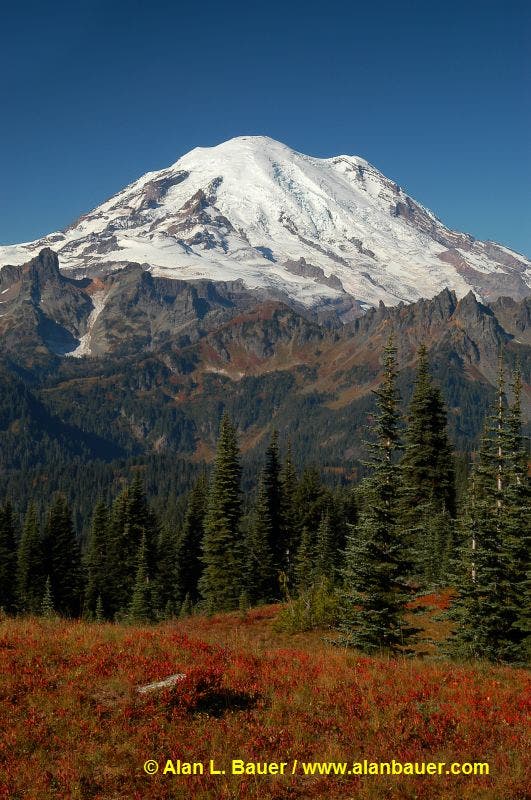 Mount Rainier None