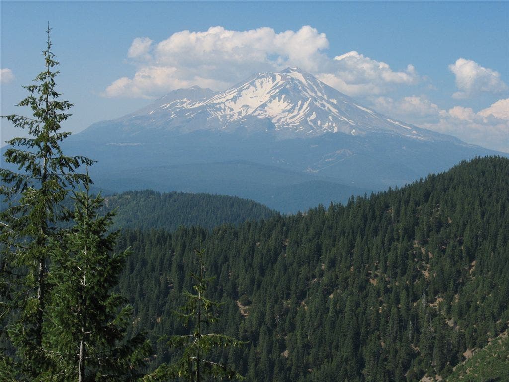 Mount Shasta None