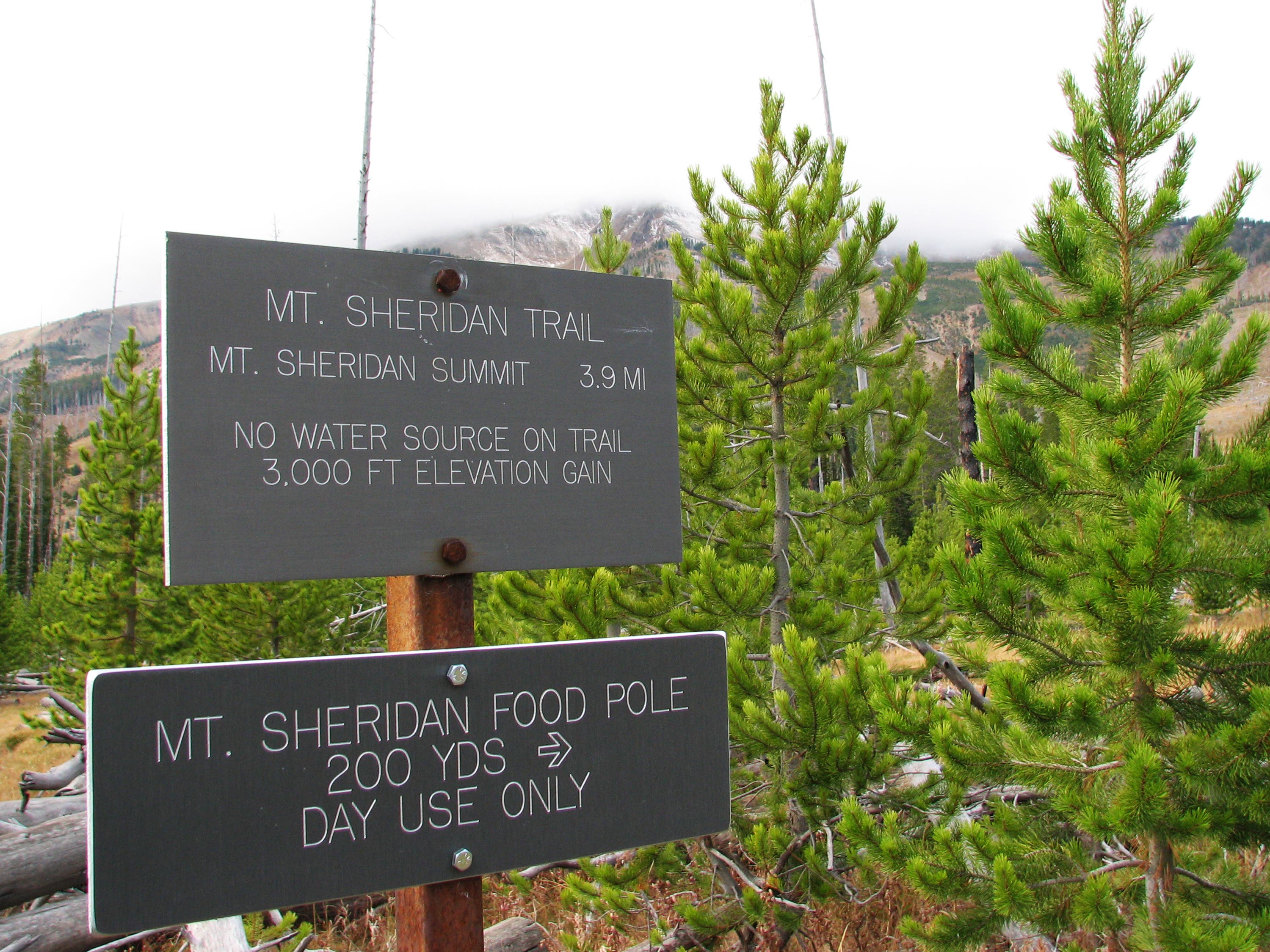 Mount Sheridan Sign None