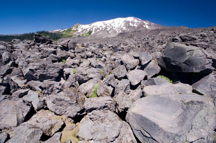 Mount St. Helens None