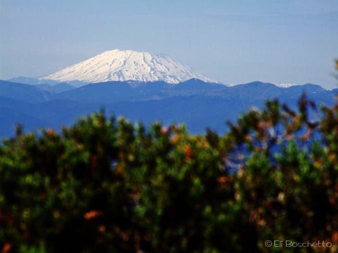 Mount St. Helens None
