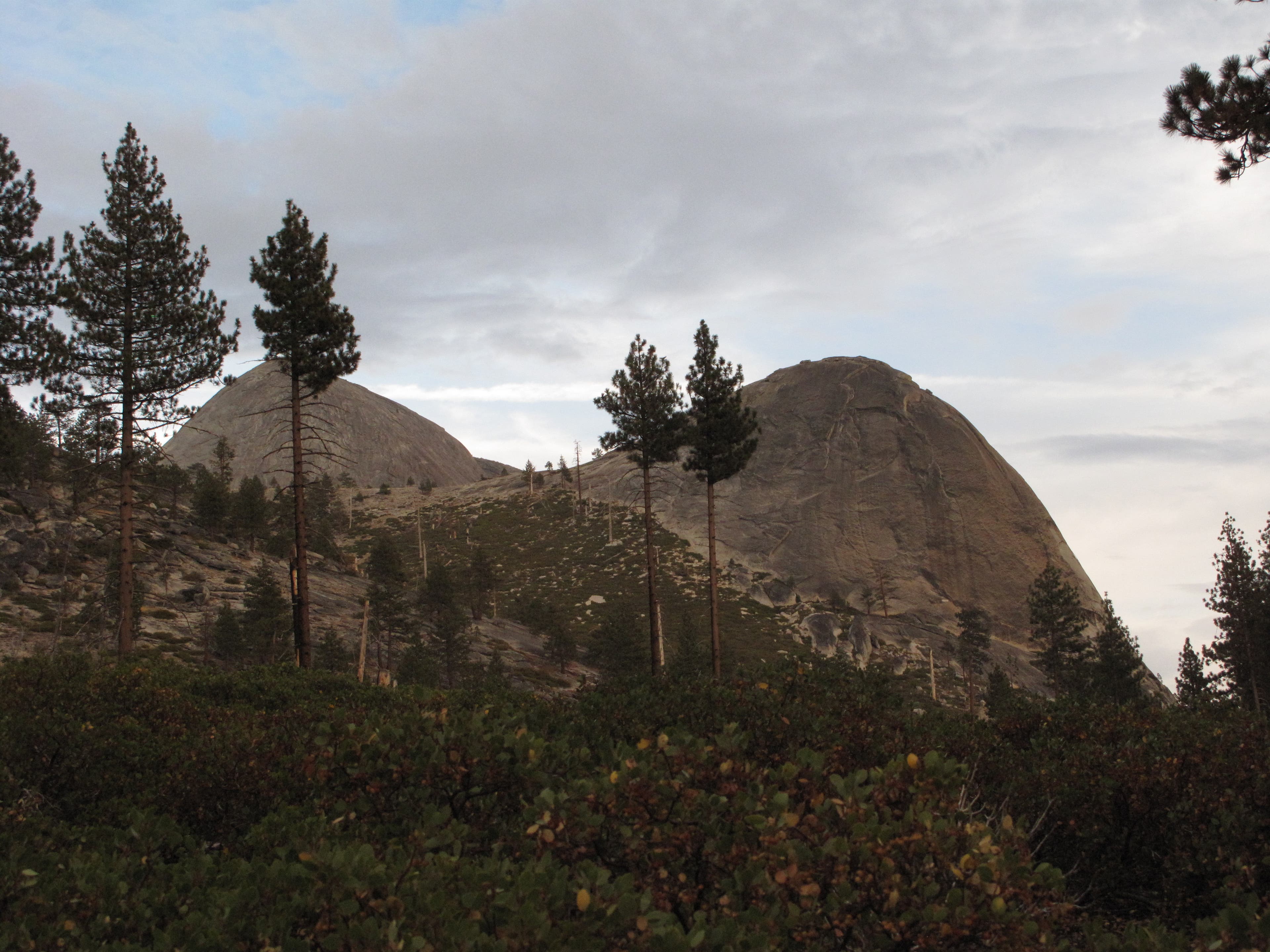 Mount Starr King None