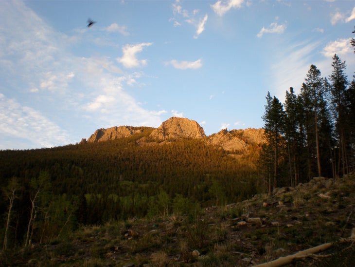 Mount Thorodin None