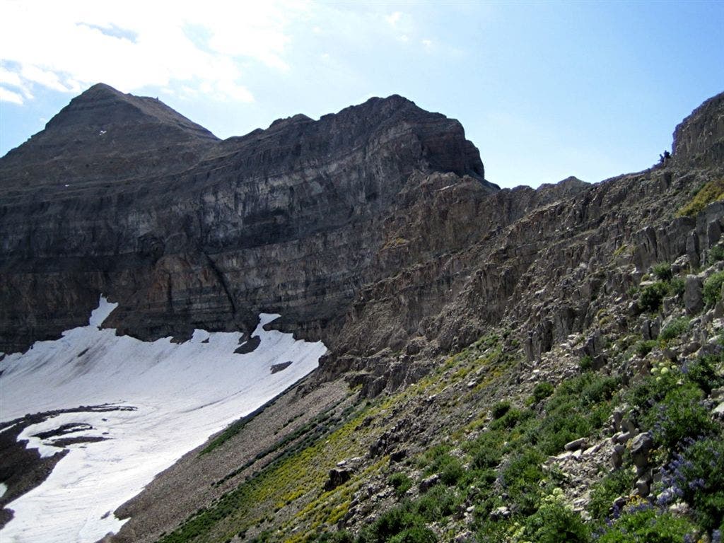 Mount Timpanogos None
