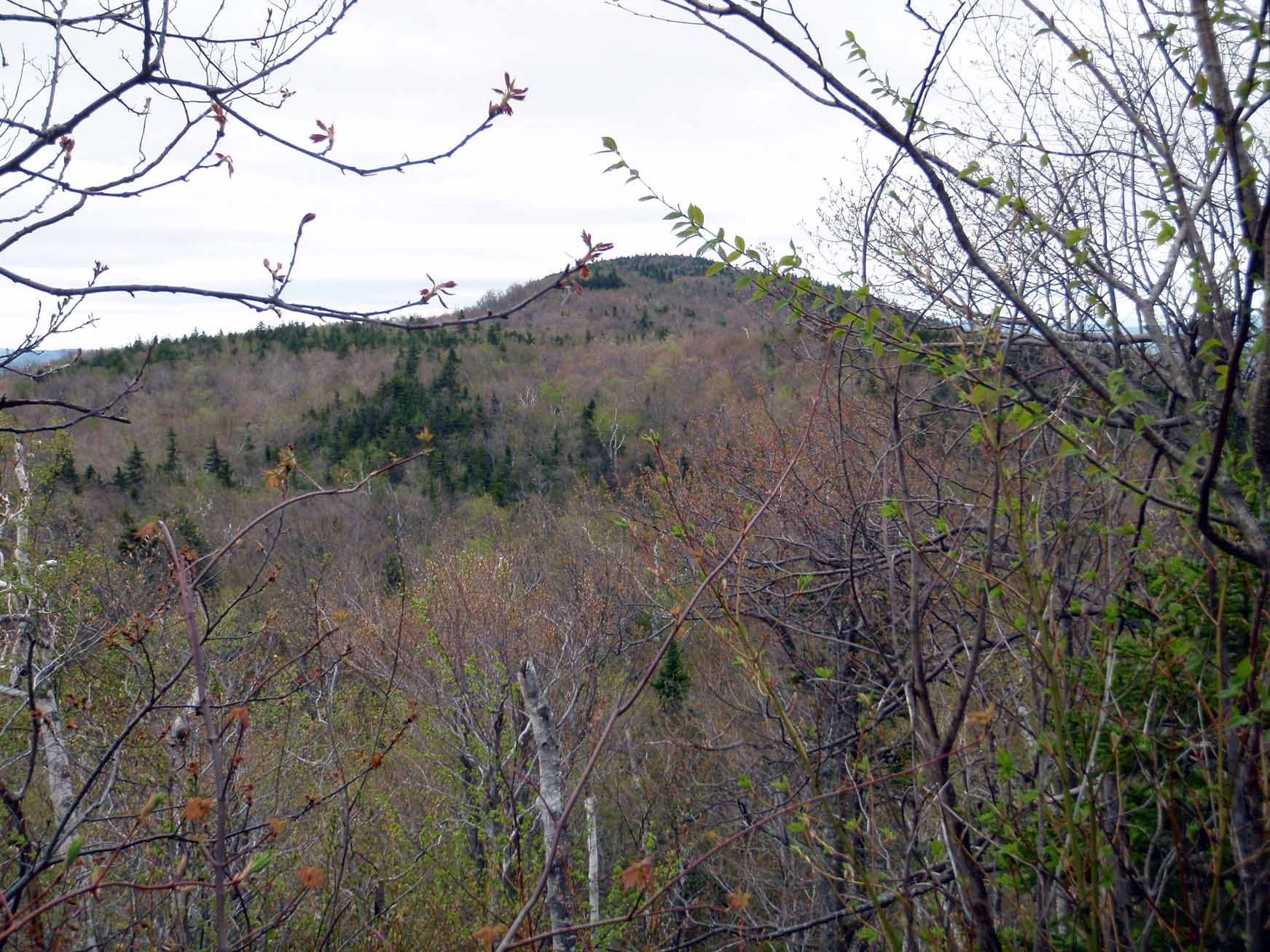 Mount Webster View None