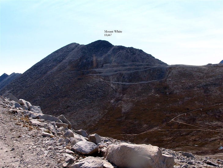 Mount White None