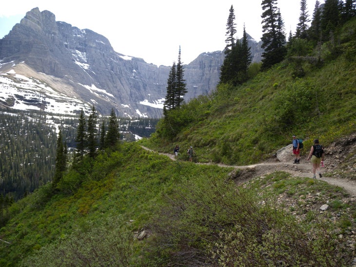 Mount Wilbur None