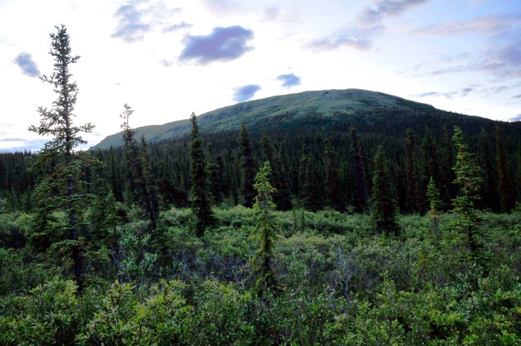 Mount Wright None