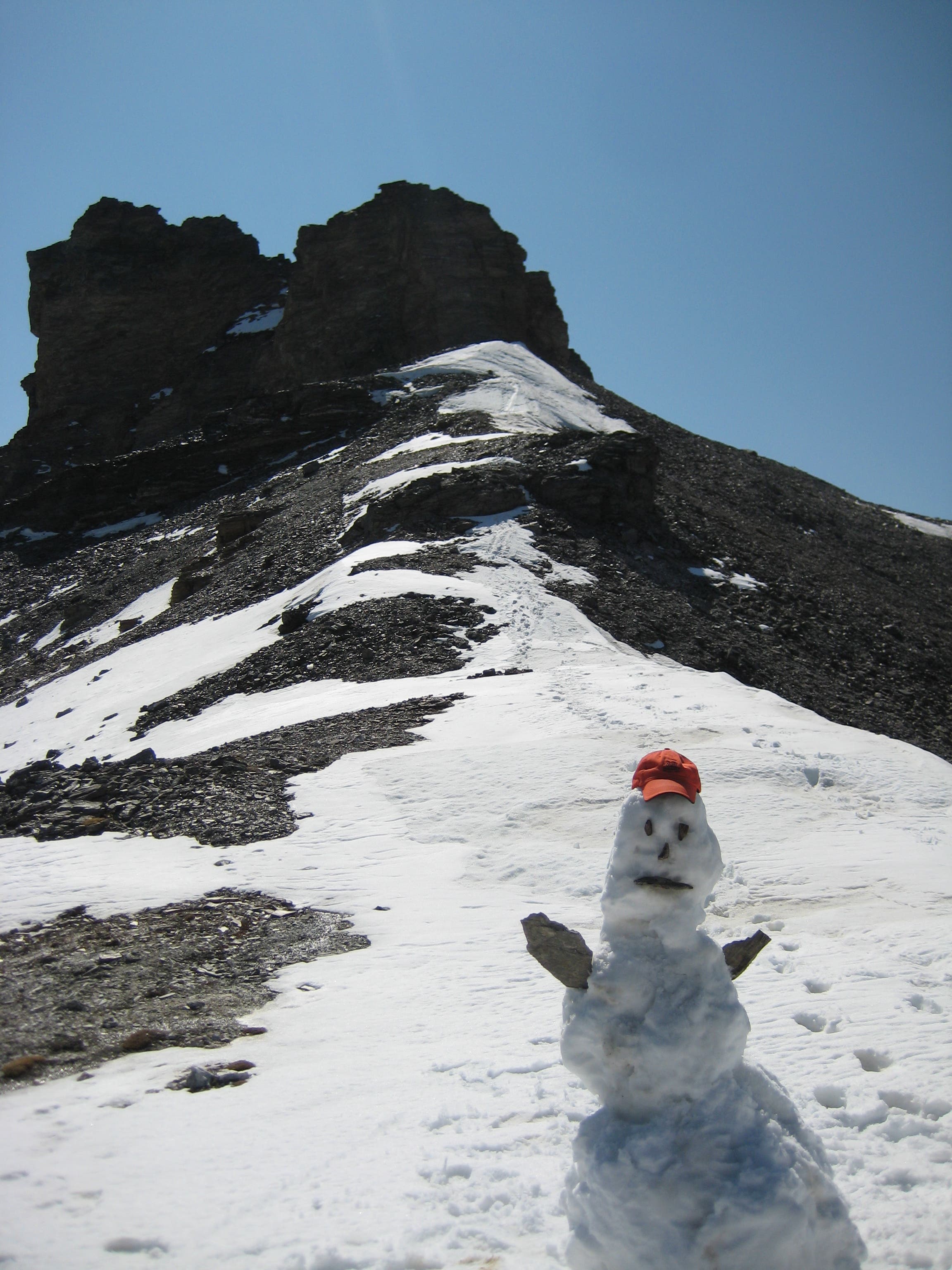 Mountain Mascot None