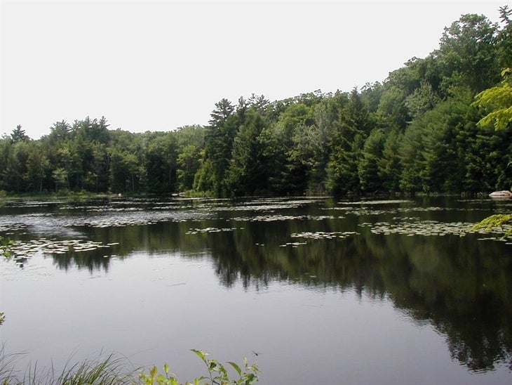 Mountain Pond None
