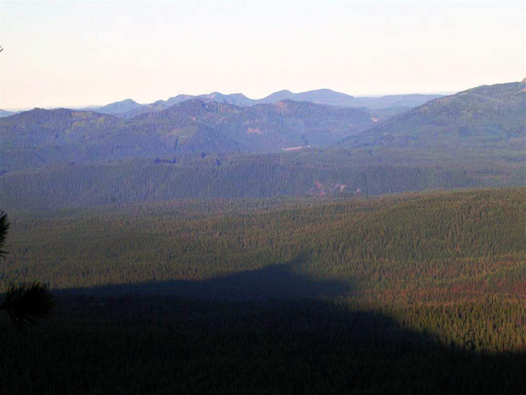 Mountain Shadow None