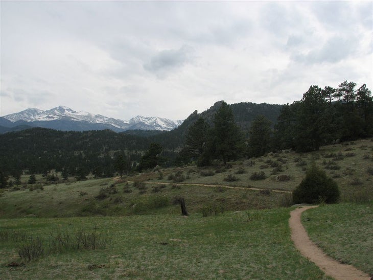 Mountain Views None