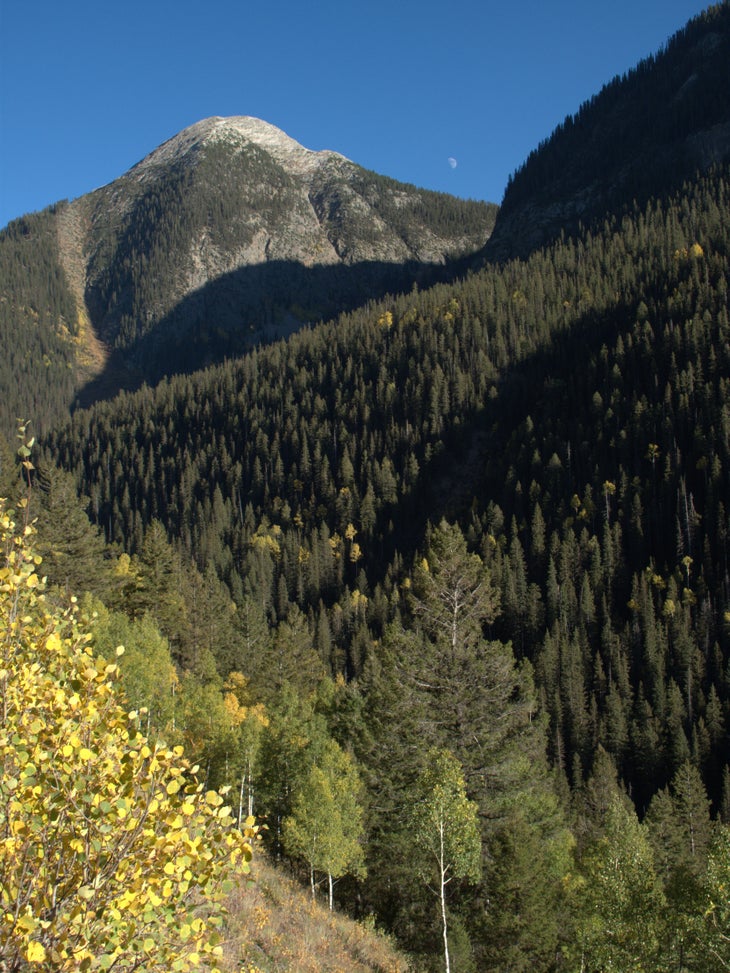 Mountain with bald tops None
