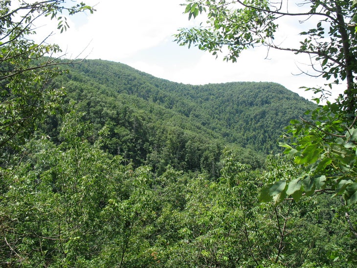 Mountains from Lewis Spring Falls Trail None