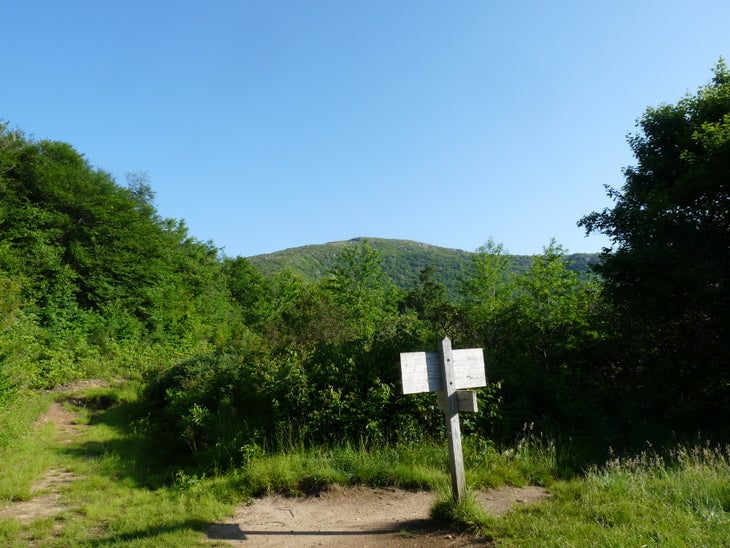 Mountains-To-Sea Trail Junction None