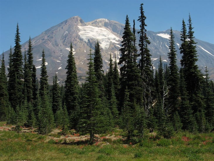 Mt. Adams None