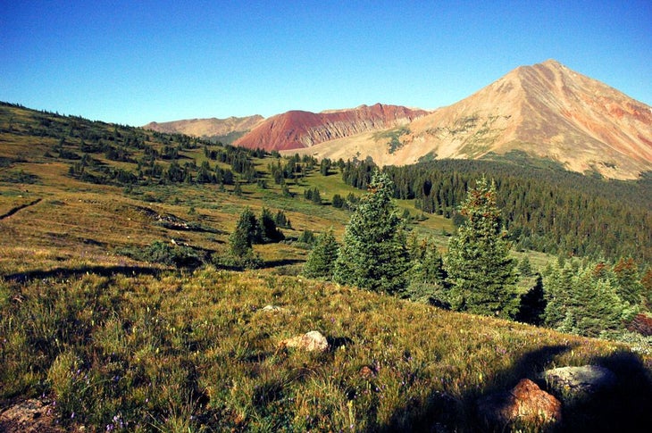 Mt. Guyot None