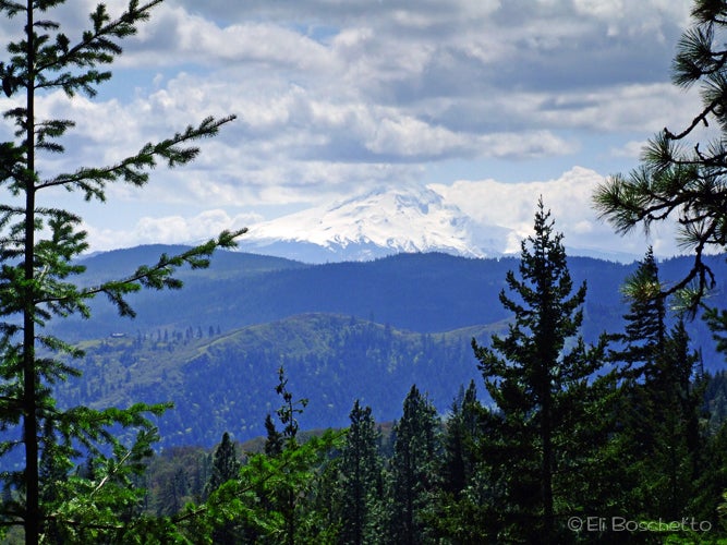 Mt. Hood None