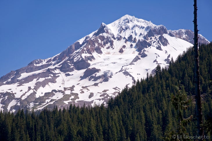 Mt. Hood None