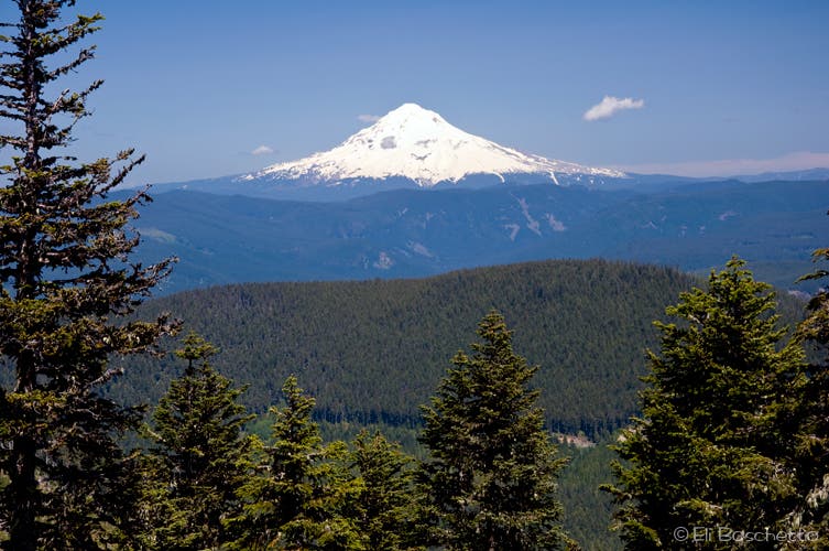 Mt Hood None