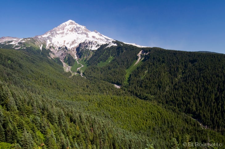 Mt. Hood None