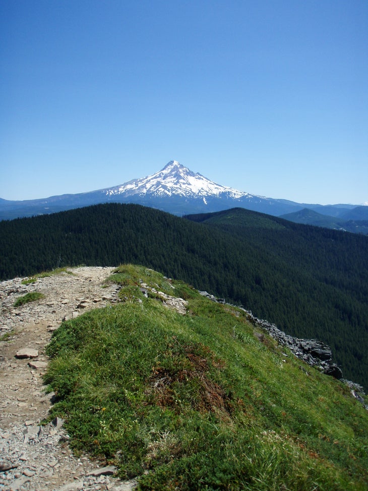Mt Hood view None