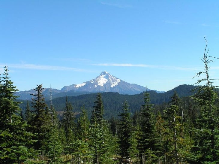 Mt. Jefferson None
