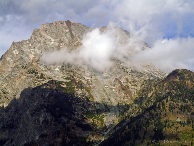 Mt. Moran None