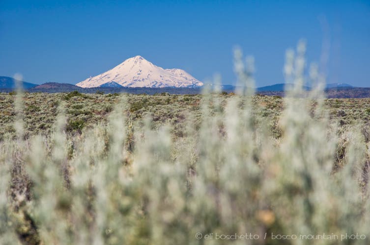 Mt. Shasta None