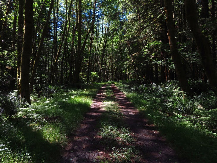 Mount St. Helens NVM, WA: June Lake & Swift Creek Falls