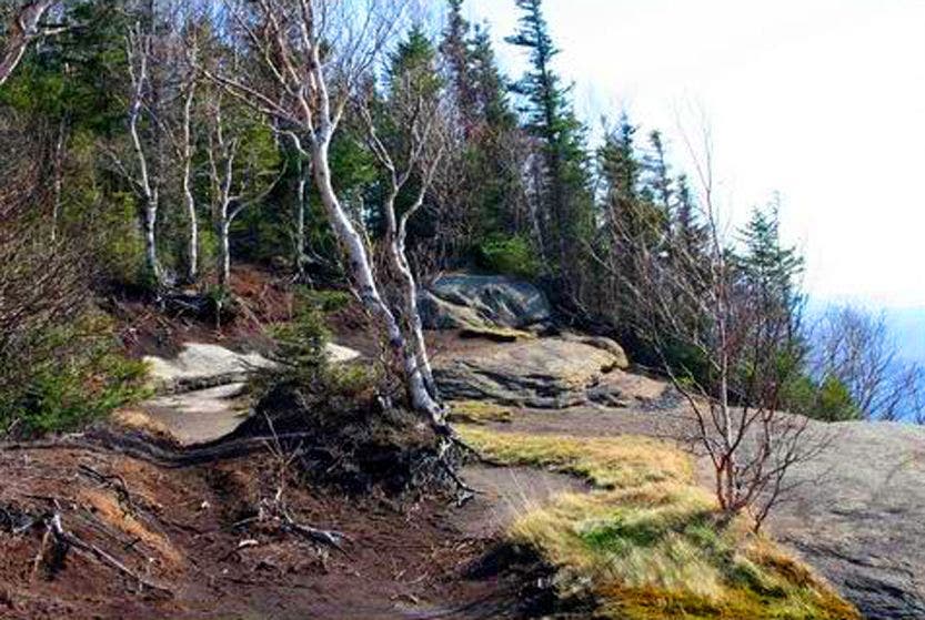 Mt. Van Hoevenberg Summit None