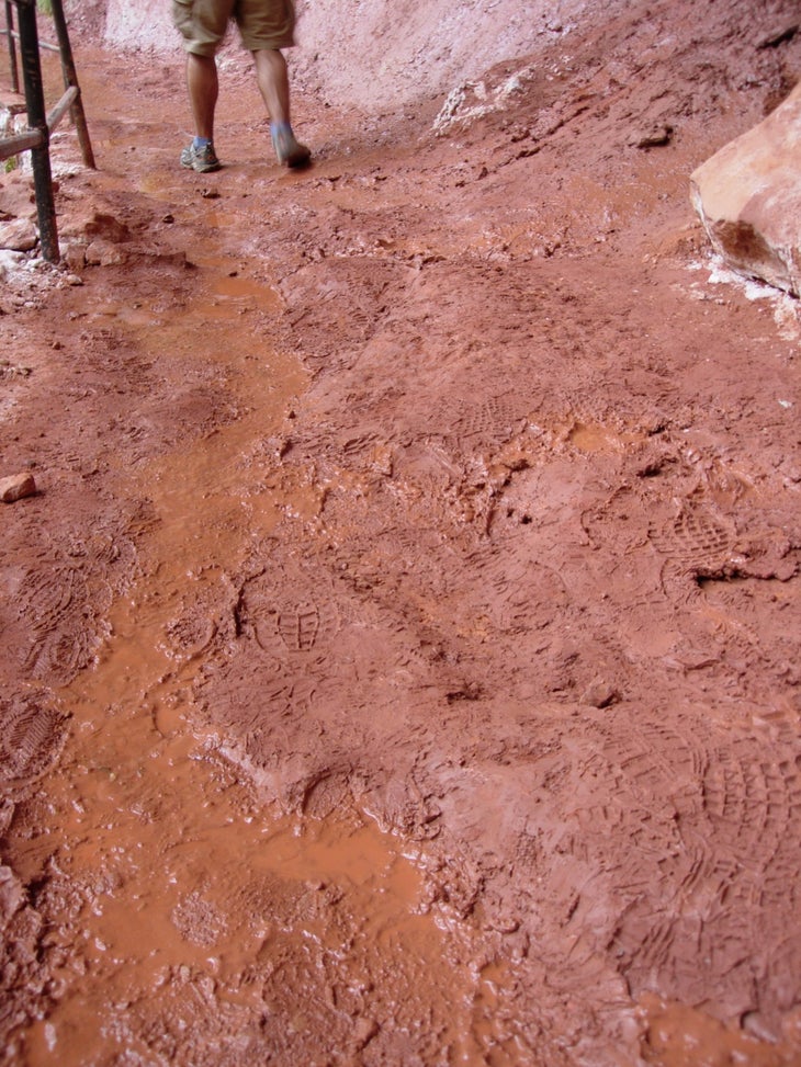 Mud None