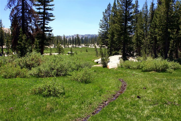 Muddy Trail None