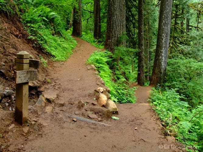 Multnomah Trail None