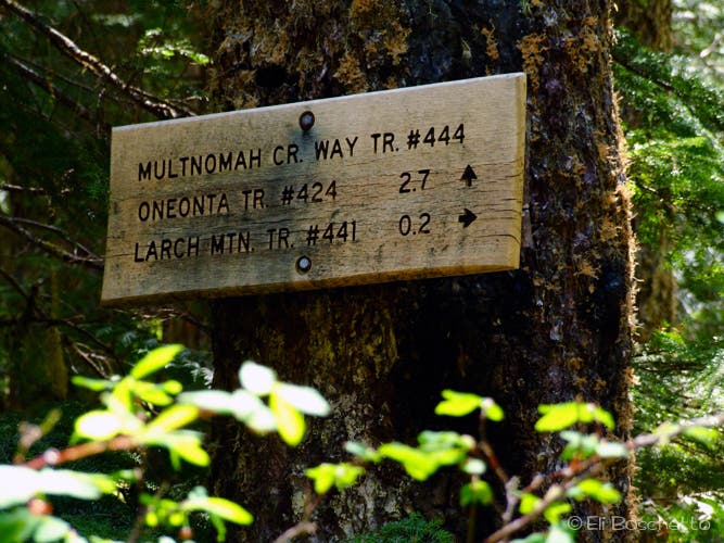 Multnomah Trail None